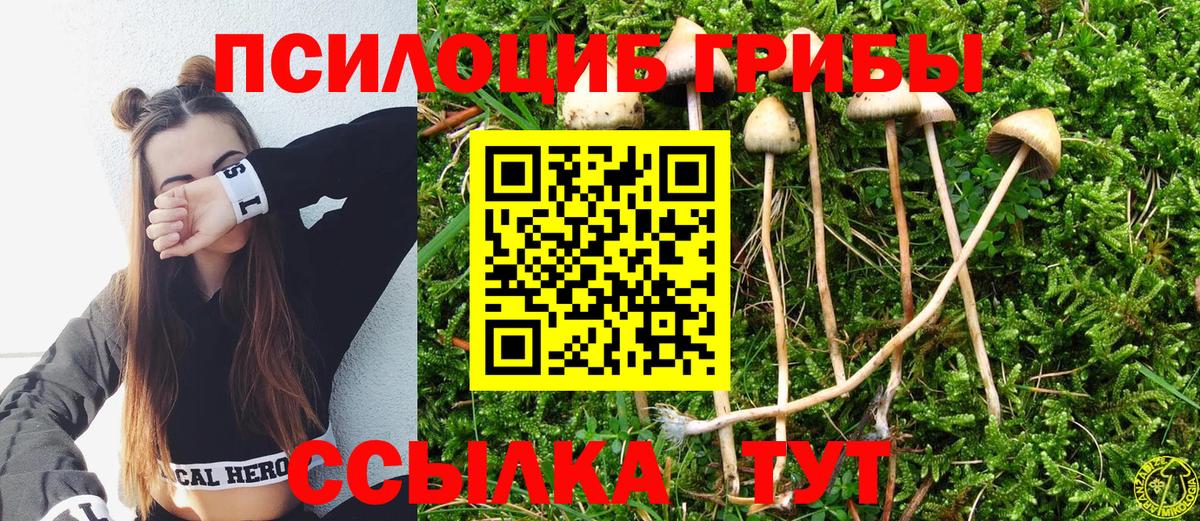 ГАШИШ Рубцовск